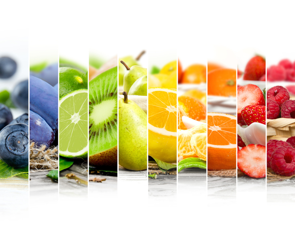 alimentación