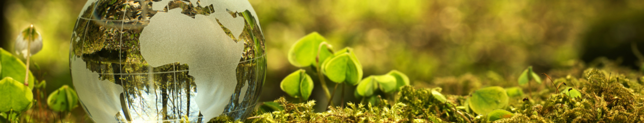 Medio ambiente